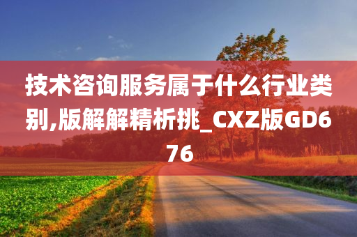 技术咨询服务属于什么行业类别,版解解精析挑_CXZ版GD676