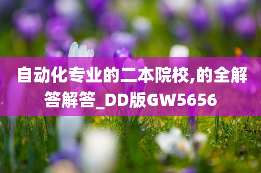 自动化专业的二本院校,的全解答解答_DD版GW5656