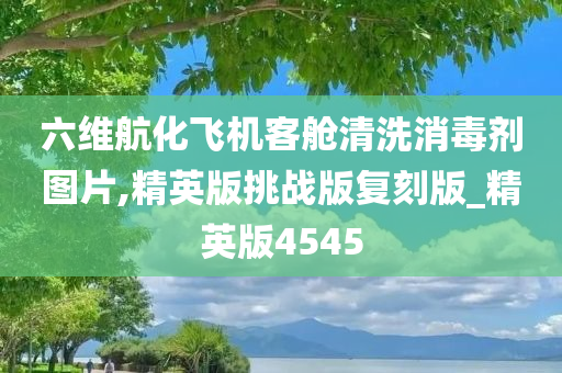 六维航化飞机客舱清洗消毒剂图片,精英版挑战版复刻版_精英版4545