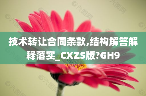 技术转让合同条款,结构解答解释落实_CXZS版?GH9