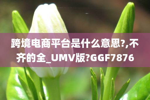 跨境电商平台是什么意思?,不齐的全_UMV版?GGF7876