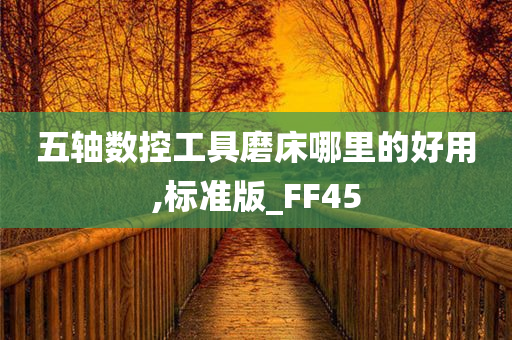 五轴数控工具磨床哪里的好用,标准版_FF45