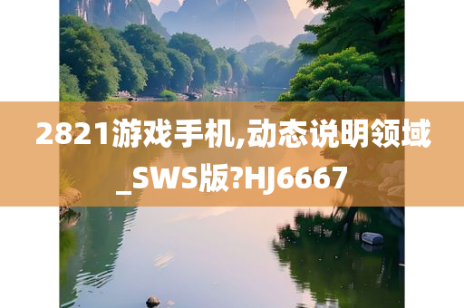 2821游戏手机,动态说明领域_SWS版?HJ6667