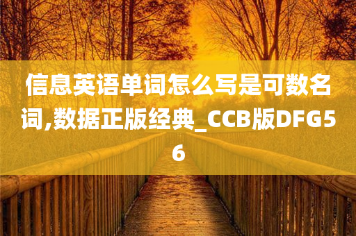 信息英语单词怎么写是可数名词,数据正版经典_CCB版DFG56