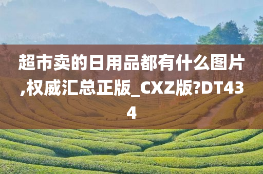 超市卖的日用品都有什么图片,权威汇总正版_CXZ版?DT434