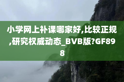 小学网上补课哪家好,比较正规,研究权威动态_BVB版?GF898