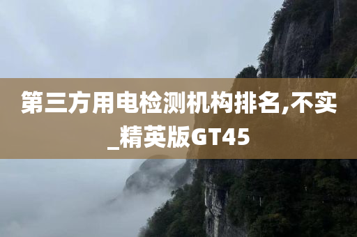 第三方用电检测机构排名,不实_精英版GT45