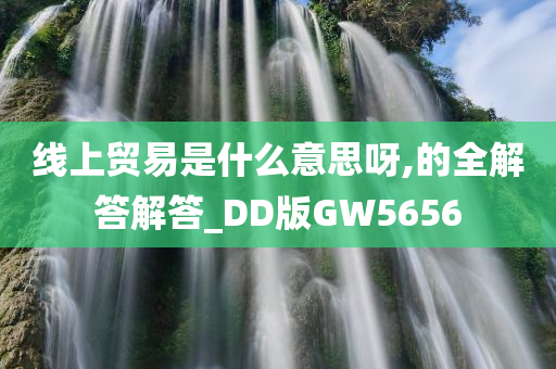 线上贸易是什么意思呀,的全解答解答_DD版GW5656