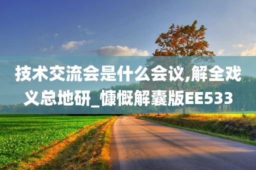 技术交流会是什么会议,解全戏义总地研_慷慨解囊版EE533