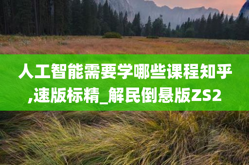 人工智能需要学哪些课程知乎,速版标精_解民倒悬版ZS2