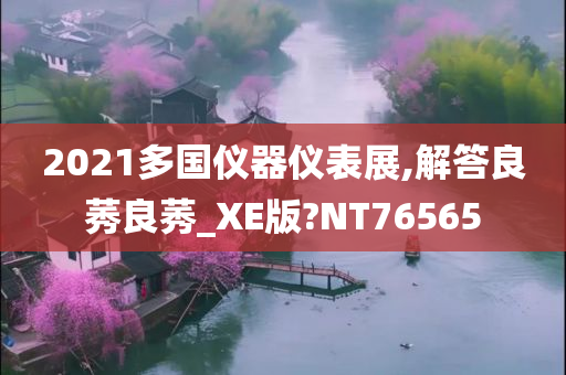 2021多国仪器仪表展,解答良莠良莠_XE版?NT76565