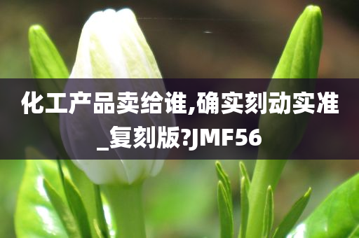 化工产品卖给谁,确实刻动实准_复刻版?JMF56