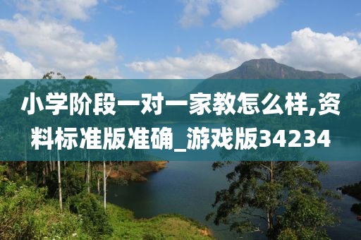 小学阶段一对一家教怎么样,资料标准版准确_游戏版34234