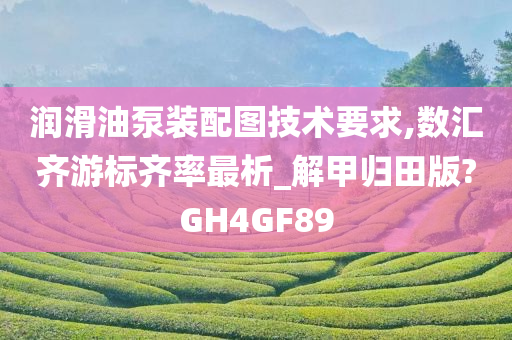 润滑油泵装配图技术要求,数汇齐游标齐率最析_解甲归田版?GH4GF89