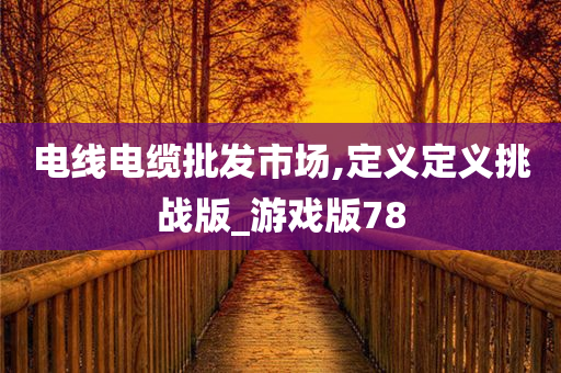 电线电缆批发市场,定义定义挑战版_游戏版78