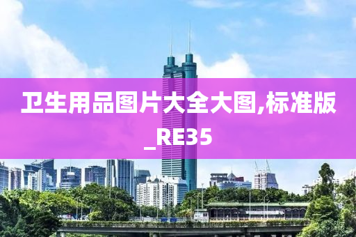 卫生用品图片大全大图,标准版_RE35