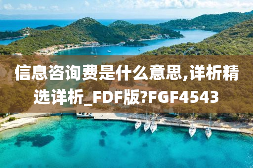 信息咨询费是什么意思,详析精选详析_FDF版?FGF4543