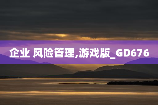 企业 风险管理,游戏版_GD676