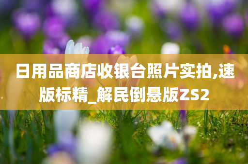 日用品商店收银台照片实拍,速版标精_解民倒悬版ZS2