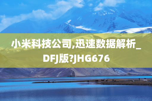 小米科技公司,迅速数据解析_DFJ版?JHG676