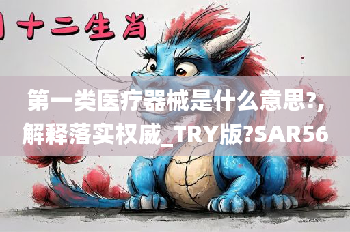 第一类医疗器械是什么意思?,解释落实权威_TRY版?SAR56