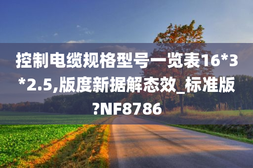 控制电缆规格型号一览表16*3*2.5,版度新据解态效_标准版?NF8786