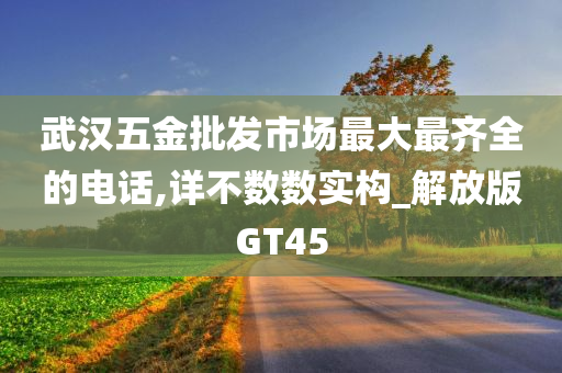 武汉五金批发市场最大最齐全的电话,详不数数实构_解放版GT45