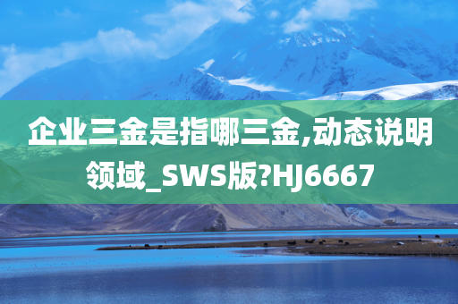 企业三金是指哪三金,动态说明领域_SWS版?HJ6667