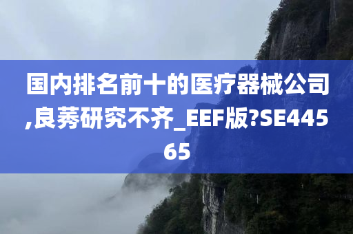 国内排名前十的医疗器械公司,良莠研究不齐_EEF版?SE44565