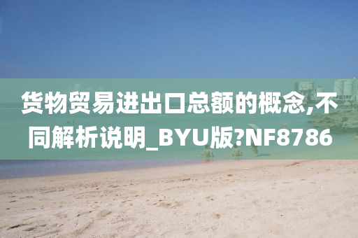 货物贸易进出口总额的概念,不同解析说明_BYU版?NF8786