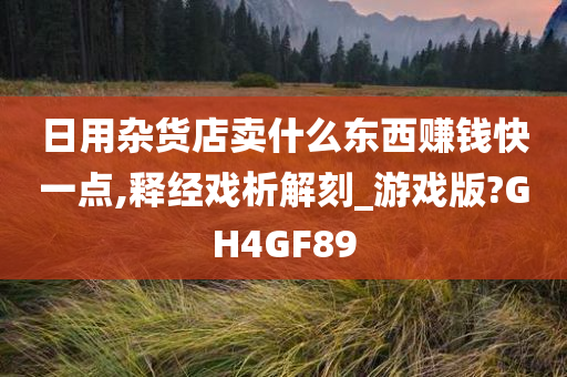 日用杂货店卖什么东西赚钱快一点,释经戏析解刻_游戏版?GH4GF89