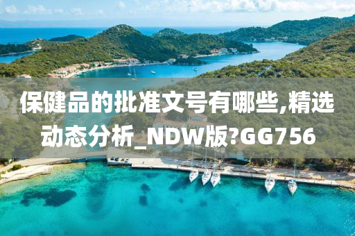 保健品的批准文号有哪些,精选动态分析_NDW版?GG756