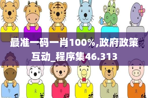 最准一码一肖100%,政府政策互动_程序集46.313