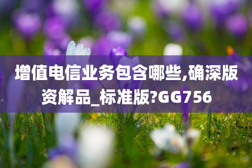 增值电信业务包含哪些,确深版资解品_标准版?GG756