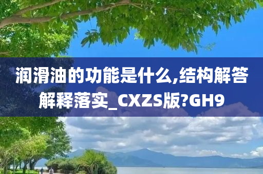 润滑油的功能是什么,结构解答解释落实_CXZS版?GH9