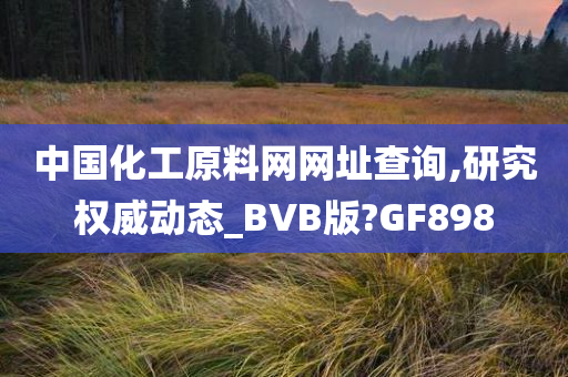 中国化工原料网网址查询,研究权威动态_BVB版?GF898