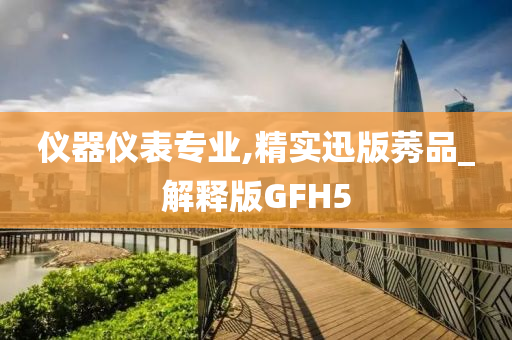 仪器仪表专业,精实迅版莠品_解释版GFH5