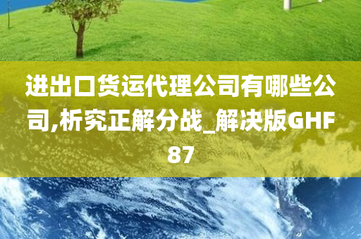 进出口货运代理公司有哪些公司,析究正解分战_解决版GHF87