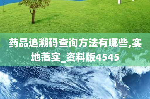 药品追溯码查询方法有哪些,实地落实_资料版4545