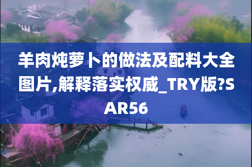 羊肉炖萝卜的做法及配料大全图片,解释落实权威_TRY版?SAR56