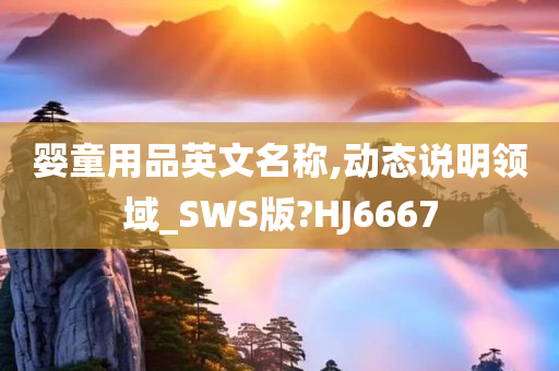 婴童用品英文名称,动态说明领域_SWS版?HJ6667