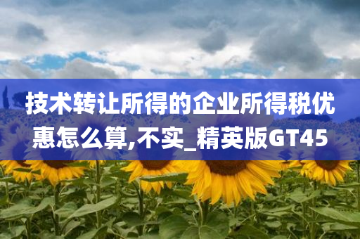 技术转让所得的企业所得税优惠怎么算,不实_精英版GT45