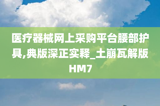 医疗器械网上采购平台腰部护具,典版深正实释_土崩瓦解版HM7