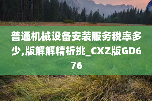 普通机械设备安装服务税率多少,版解解精析挑_CXZ版GD676