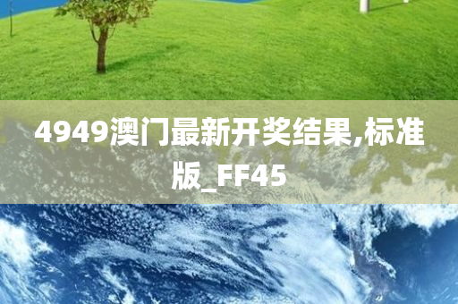 4949澳门最新开奖结果,标准版_FF45