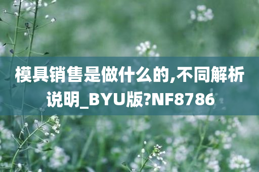 模具销售是做什么的,不同解析说明_BYU版?NF8786