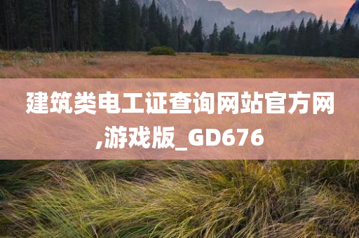 建筑类电工证查询网站官方网,游戏版_GD676