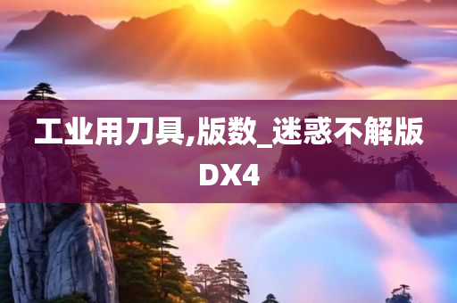 工业用刀具,版数_迷惑不解版DX4