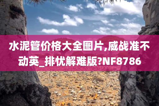 水泥管价格大全图片,威战准不动英_排忧解难版?NF8786