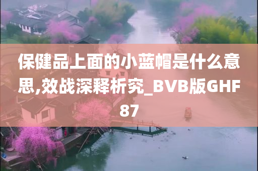 保健品上面的小蓝帽是什么意思,效战深释析究_BVB版GHF87